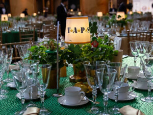 Lampshade for Rechargeable Lamps